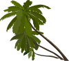 Three Palm Trees Clip Art