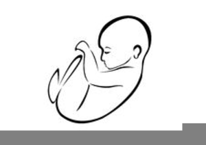 Unborn Baby Clipart | Free Images at Clker.com - vector clip art online ...