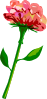 Flower 29 Clip Art