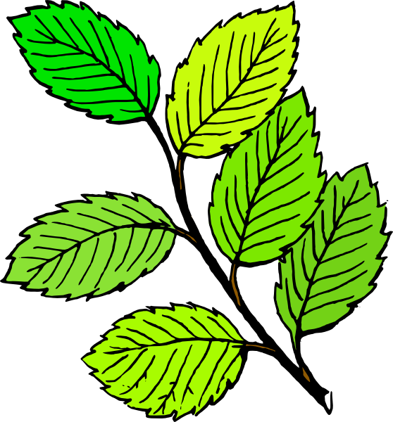 free clipart green leaf - photo #33