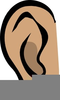 Animated Ears Clipart Image