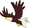 Bald Eagle Clip Art