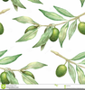 Free Clipart Of Olive Branches Image