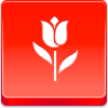 Tulip Icon Image