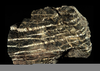 Serpentinite Metamorphic Image