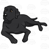 Free Black Labrador Clipart Image