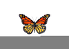 Clipart Picture Of Butterfly Image