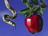 Apple And Snake Image