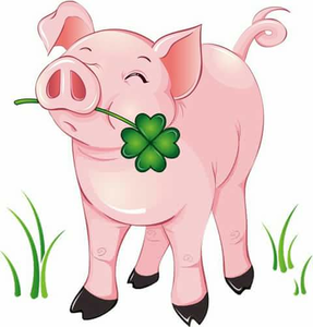 Year Of The Pig Clipart Image