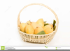 Clipart Basket Of Mangoes Image