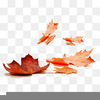 Fall Leaves Clipart Image