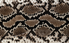 Python Snake Wallpapers Image