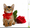 Valentine And Cat Clipart Image
