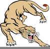 Free Cougar Clipart Pictures Image