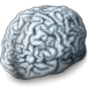 Brain 15 Image