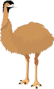 Emu Clip Art