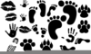Free Clipart Bunny Footprints Image