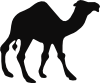 Walking Camel Clip Art