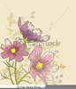 Floral Clipart For Graphic Artist Image
