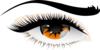 More Golden Eyes Clip Art