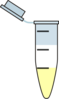 Eppendorf Tube Two Layer Clip Art