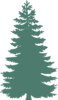 Lightgreen Pine Tree Clip Art