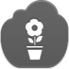 Pot Flower Icon Image