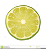Clipart Lemon Slice Image