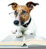 Free Clipart Dog Reading Image