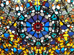 Damien Hirst Butterflies Image