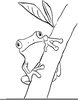 Rainforest Clipart Coloring Page Image