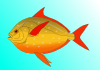Fish 16 Clip Art