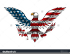 Clipart Eagle Feathers Image