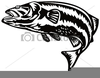 Free Striped Bass Clipart Image