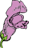 Snapdragon Flower Clip Art
