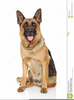 Free Clipart German Shepherd Dog Image