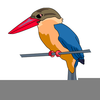 Kingfisher Clipart Free Image