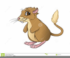 Rat Cartoon Clipart Image