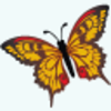 Butterfly Icon Image