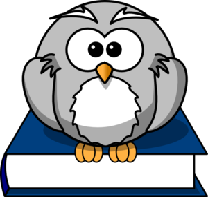 Owl On Book Clip Art at Clker.com - vector clip art online, royalty free &  public domain