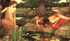 Echonarcissuswaterhouse Image