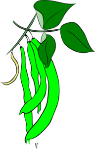 Green French Bean Clip Art
