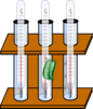 Thermometer In Beaker With Peas And Cricket Clip Art