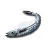 Cod Icon Image