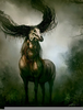 Death Horse Image