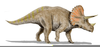 Dinosaur Museum Clipart Image