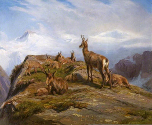 Rosa Bonheur Style Image