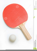 D Ping Pong Clipart Image