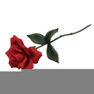 Long Stem Red Rose Clipart Image