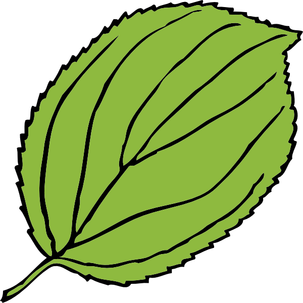 Download Serrate Leaf Clip Art at Clker.com - vector clip art online, royalty free & public domain